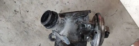 EGR valve