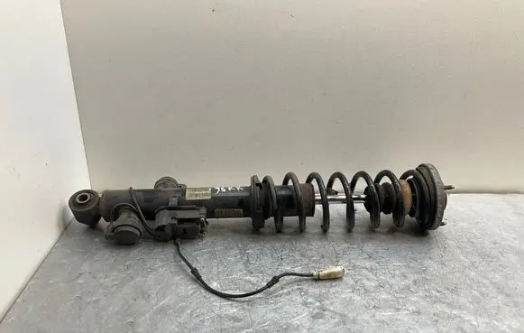 BMW 5 F10 F11 Rear shock absorber with coil spring 6796860 10541310 006245