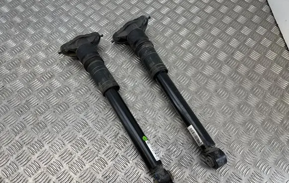 Peugeot 2008 II Rear shock absorber/damper 9842566580