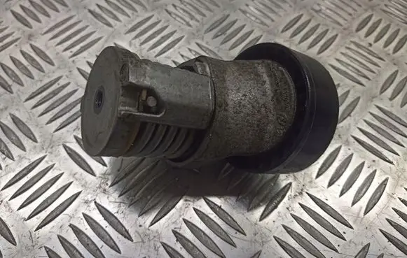 Seat Ibiza III (6L) Alternator belt tensioner pulley 038903315