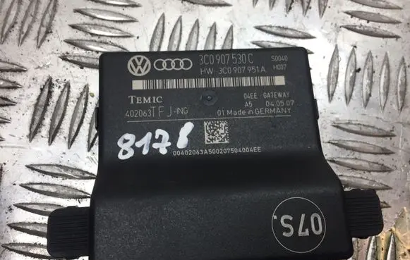 Volkswagen PASSAT B6 Gateway control module 3C0907530C 8178