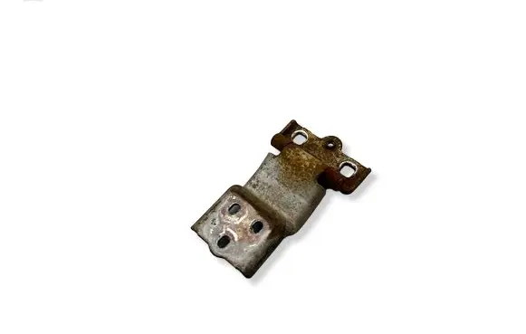 Fiat Ducato Rear door lower hinge 