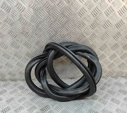Citroen C4 II Rubber seal front coupe door 9830614480