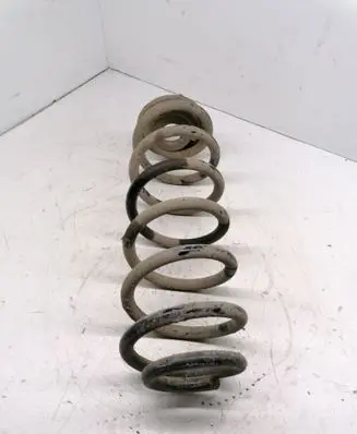 Rear coil spring