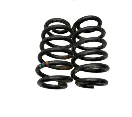 Rear coil spring