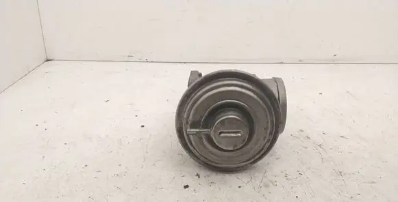 BMW 5 E39 EGR valve 785452