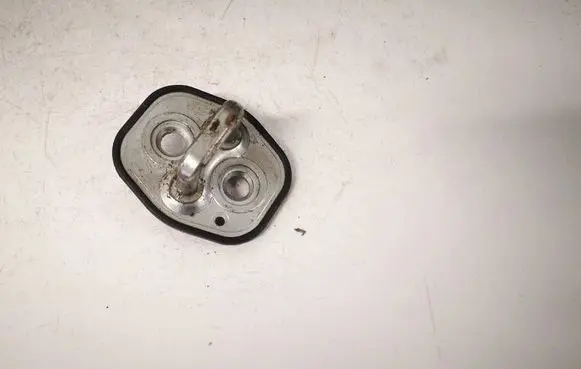 Citroen C4 I Front door lock loop/hook striker OXFORD