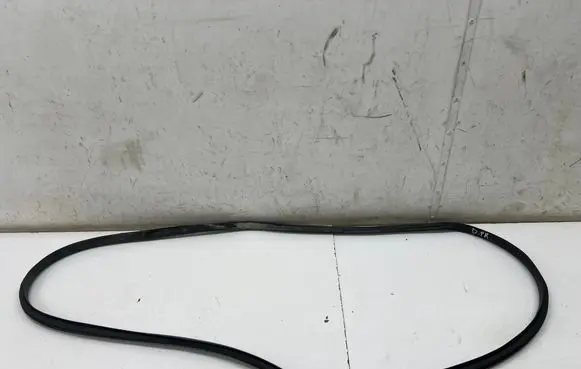 Renault Austral Front door rubber seal