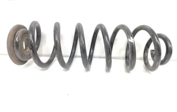 Volkswagen PASSAT B6 Rear coil spring 36199662