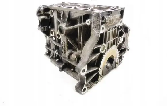 Volkswagen Golf V Engine block 