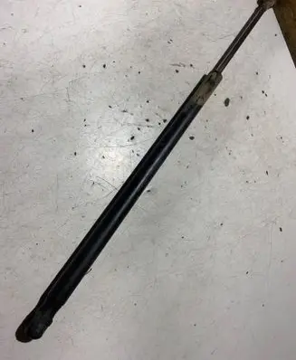 Tailgate/trunk strut/damper
