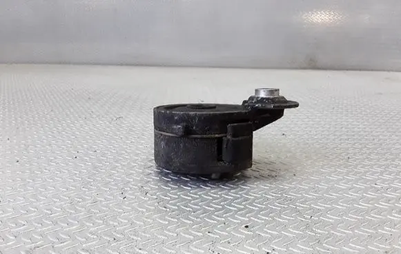Peugeot 607 Generator/alternator belt tensioner