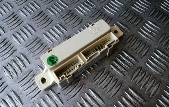 Door central lock control unit/module