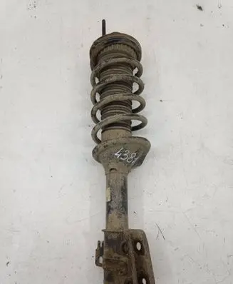 Land Rover Freelander Rear shock absorber with coil spring 22190517