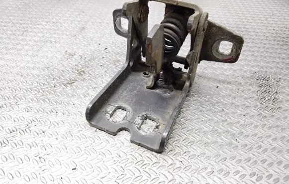Dodge Durango Rear door lower hinge