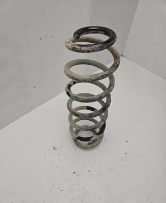 Volkswagen PASSAT B6 Rear coil spring