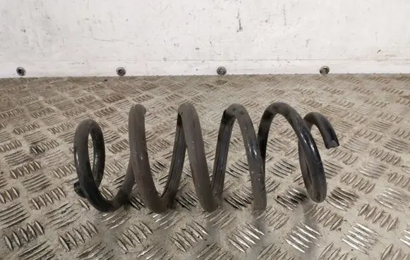 Toyota RAV 4 (XA40) Rear coil spring RAV14SPYRUOKLEGAL