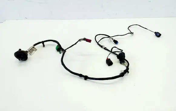 Cupra Leon Other wiring loom HM54414395 NA11X13
