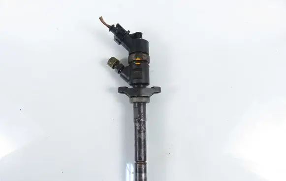 Citroen C4 I Fuel injector 0445110281