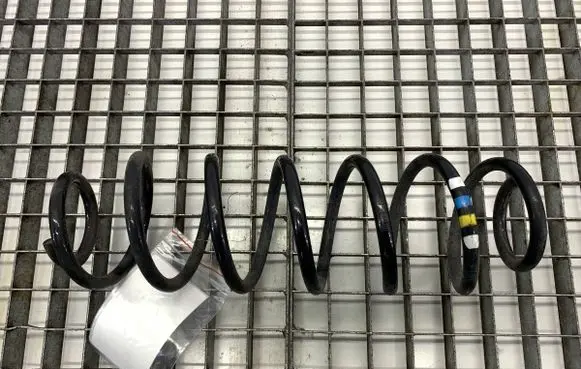 Rear coil spring