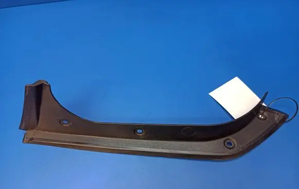 Rear/tail light trim molding
