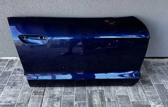 Porsche Taycan 9J1 Front door 9J1831194 A9455M004