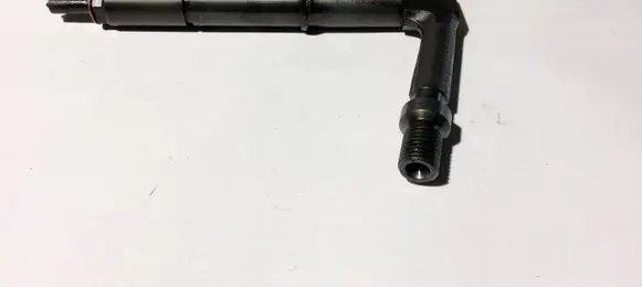 Nissan Almera Tino Fuel injector 484391 0928