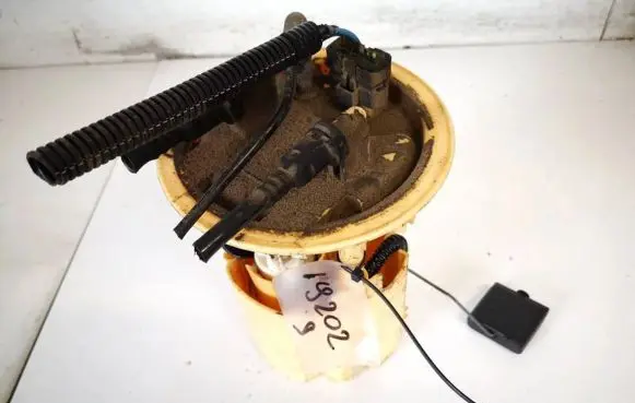 Peugeot 807 In-tank fuel pump 1489085080