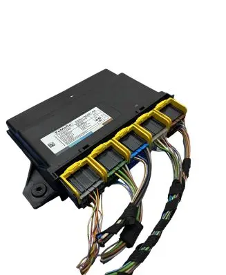 Keyless (KESSY) go control unit/module