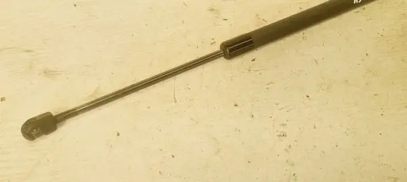 Opel Astra H Tailgate/trunk strut/damper 244638295133