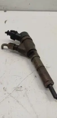 Peugeot 406 Fuel injector 0445110062