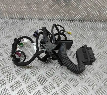 Mercedes-Benz S C217 Rear door wiring loom A2225403911