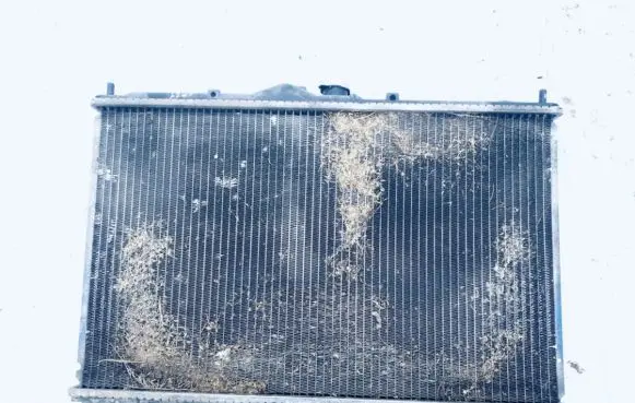 Mitsubishi Space Star Coolant radiator