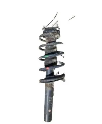 Ford Transit - Tourneo Connect Rear shock absorber/damper