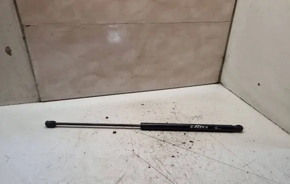 Tailgate/trunk strut/damper