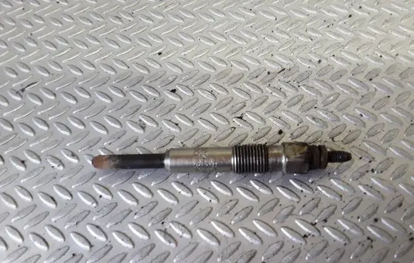 Renault Scenic I Glow plug 0250202025