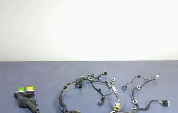 Other wiring loom