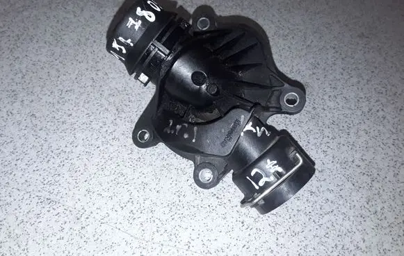 Thermostat/thermostat housing