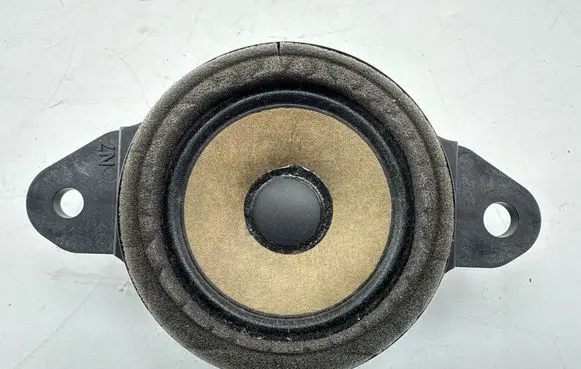Panel speaker