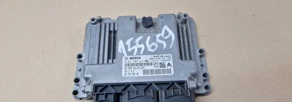 Citroen C3 Picasso Engine control unit/module 9666319180