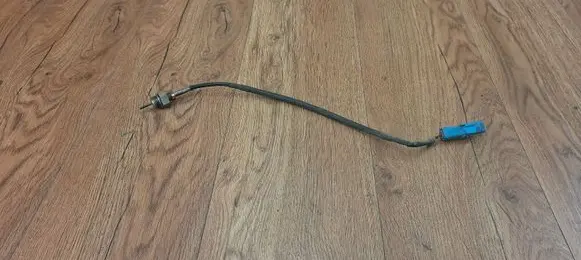 Renault Espace IV Exhaust gas temperature sensor 8200702888