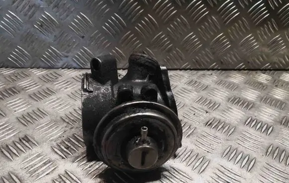 EGR valve