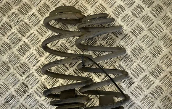 Rear coil spring