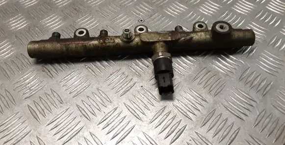 Citroen Xsara Picasso Fuel main line pipe 0445214019