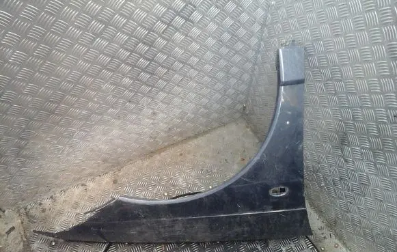 Citroen C6 Fender