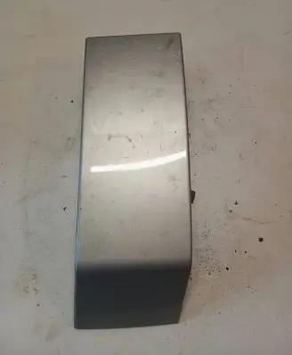 Rear/tail light trim molding