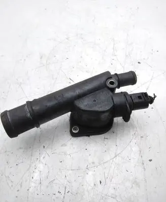 Thermostat/thermostat housing