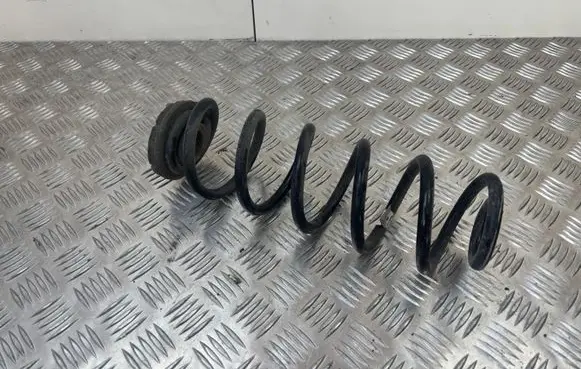 Rear coil spring