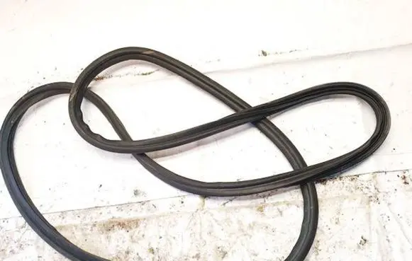 KIA EV6 Rubber seal rear door 