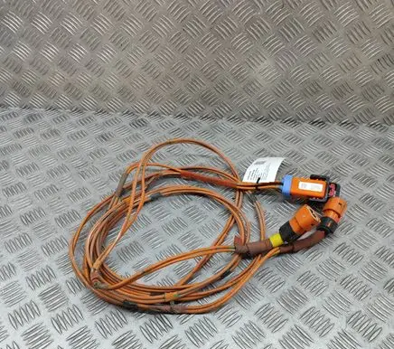 Tesla Model 3 Other wiring loom 110900410G